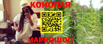 jwh Ставрополь