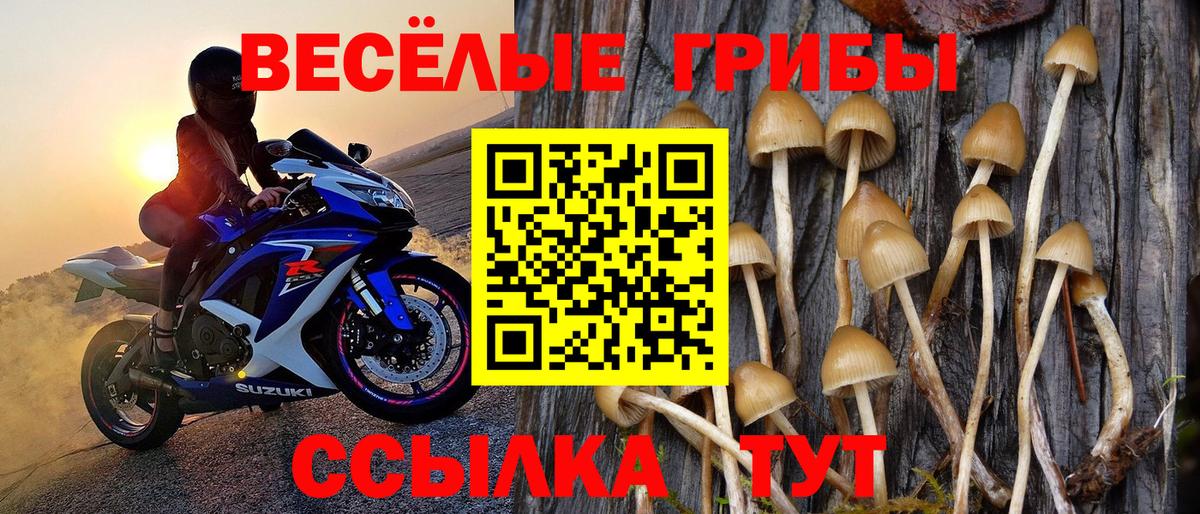 Галлюциногенные грибы Cubensis  Вход с VPN  Артёмовский  Галлюциногенные грибы мухоморы 