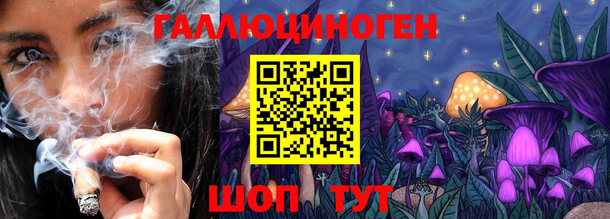 Псилоцибиновые грибы мухоморы Артёмовский